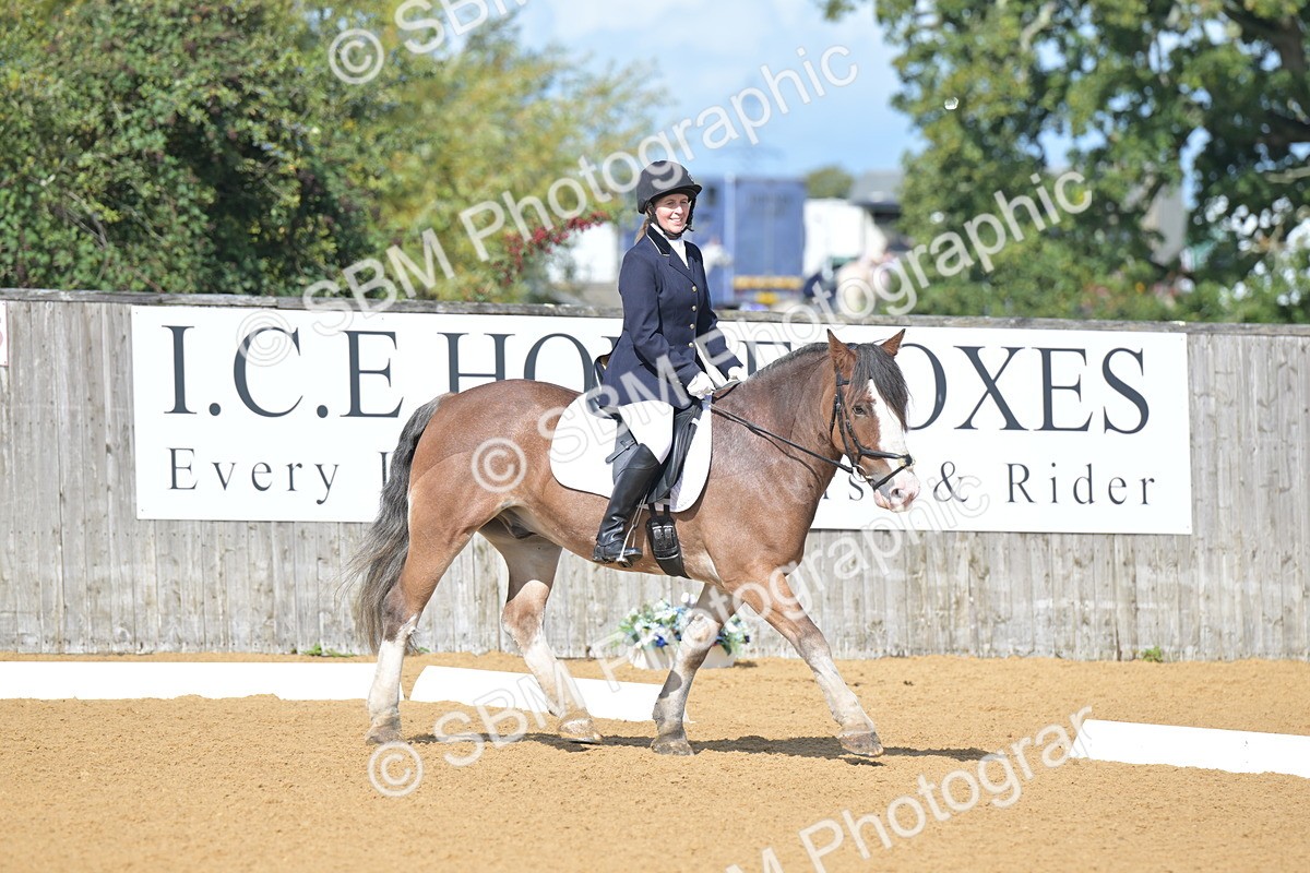 SBM_03892 - D2 - Small Tour Championship Intro 2