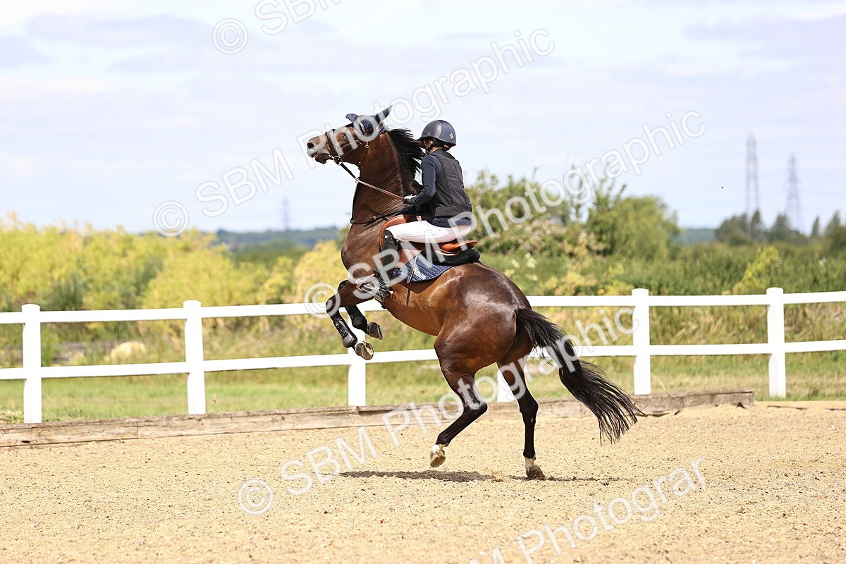 SBM_000543 - Class 3 - Senior British Novice - 90cm