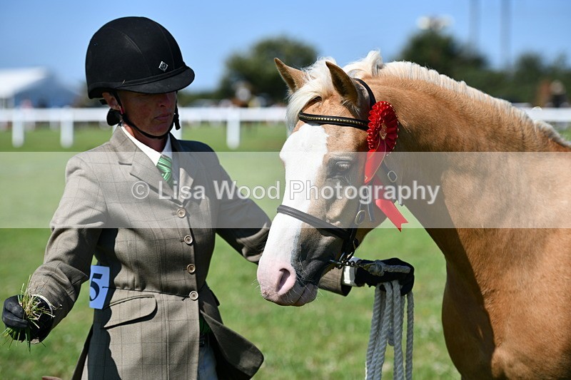 DSC_6496 - Class 53: NPS M&M 4 years and over Small Breeds