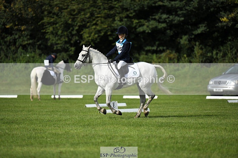 230826-093522-15157 - Sections C & D 9 to 10am