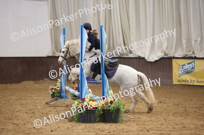 20260314-0435 - 60cm