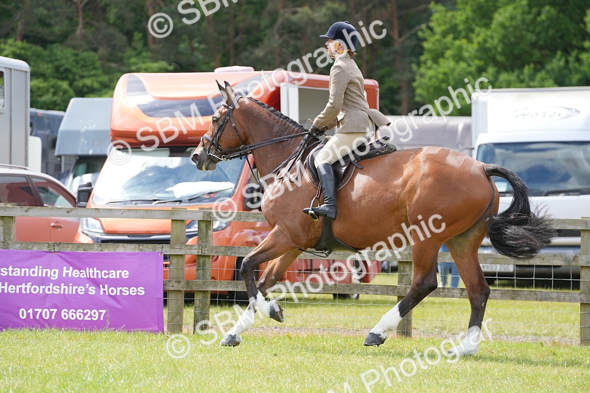 SBM_15038 - Class 100-102 - RIHS Working Hunter