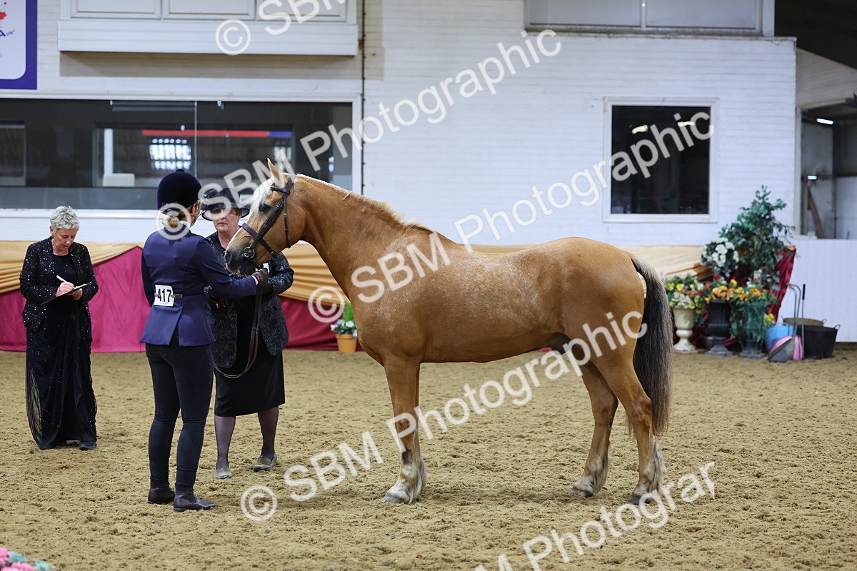 SBM_19665 - Class 901 - Supreme Final - IH Diamond