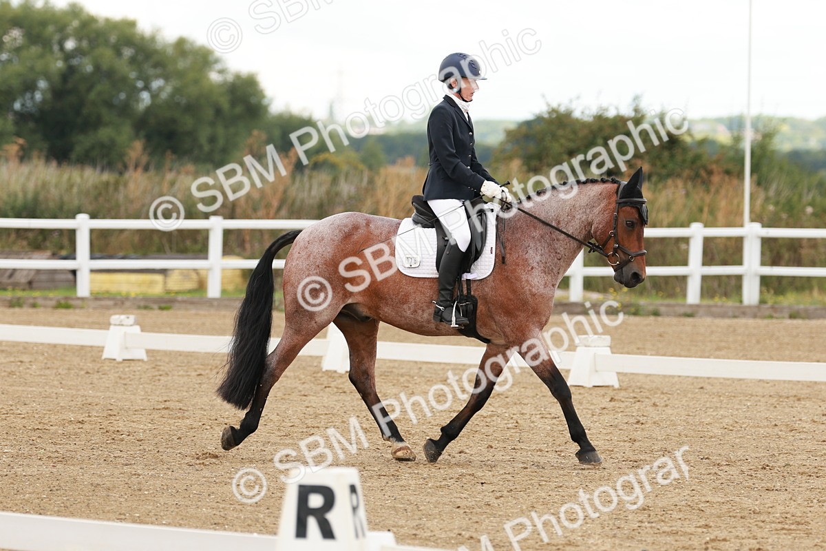 SBM_000619 - Class 2 - Prelim 6