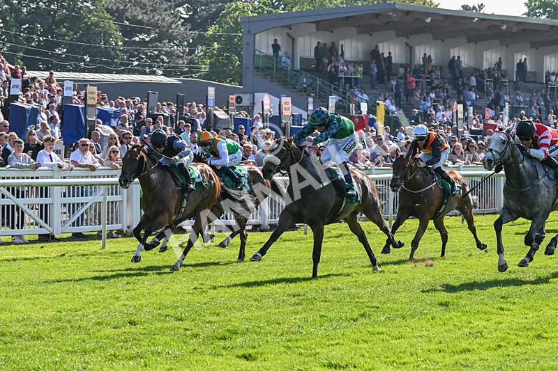 180524-Race 5-Tinto-9695 - Race 5