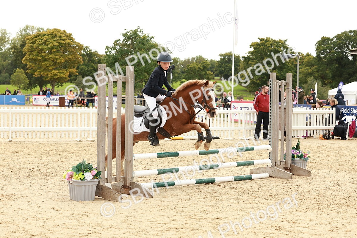 SBM_63589 - J12 - Junior Pony 55cm Championship