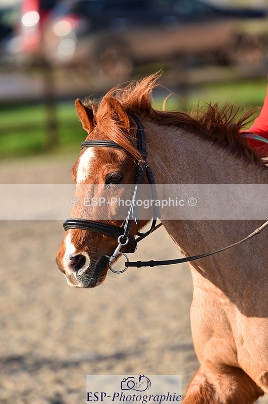 231210-124622-00581 - Cls 4 60cm