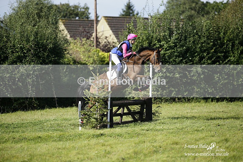  WWHT 031021 1355 - Open Novice (0.80m) 03/10/21