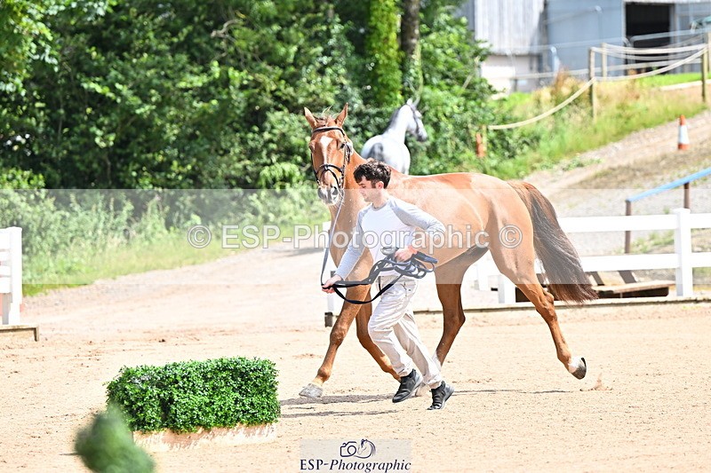 240718A-105236-00921 - Trot Up 11am to 12pm