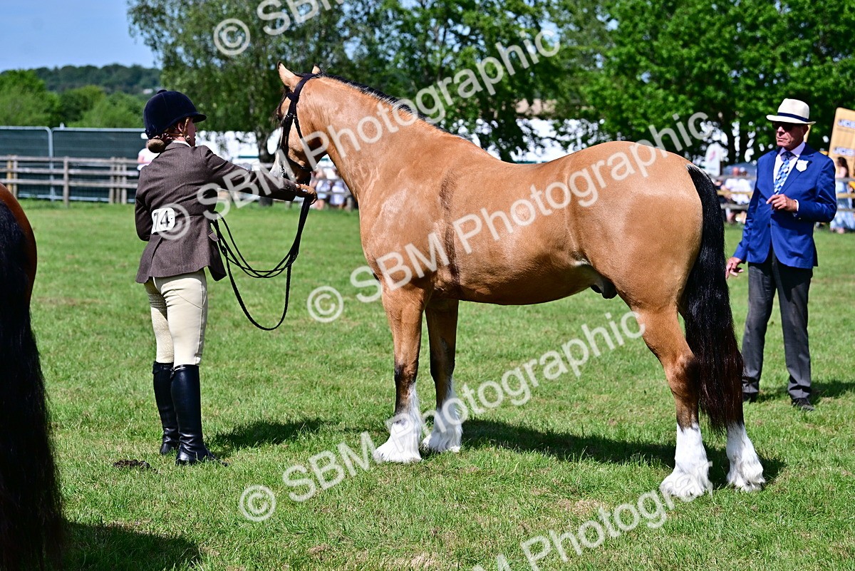SBM_08072 - Class 61-62 - TSR  M&M Ridden Amateur of the Year