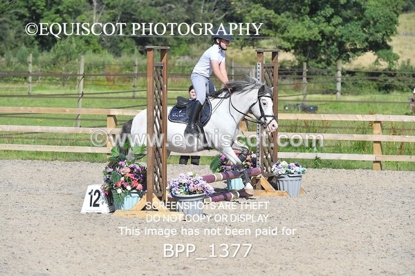 BPP_1377 - DERBY CLASS 2 - 30CM