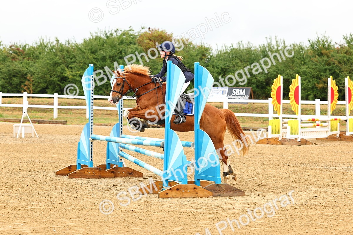 SBM_001678 - Class 5 - 80cm