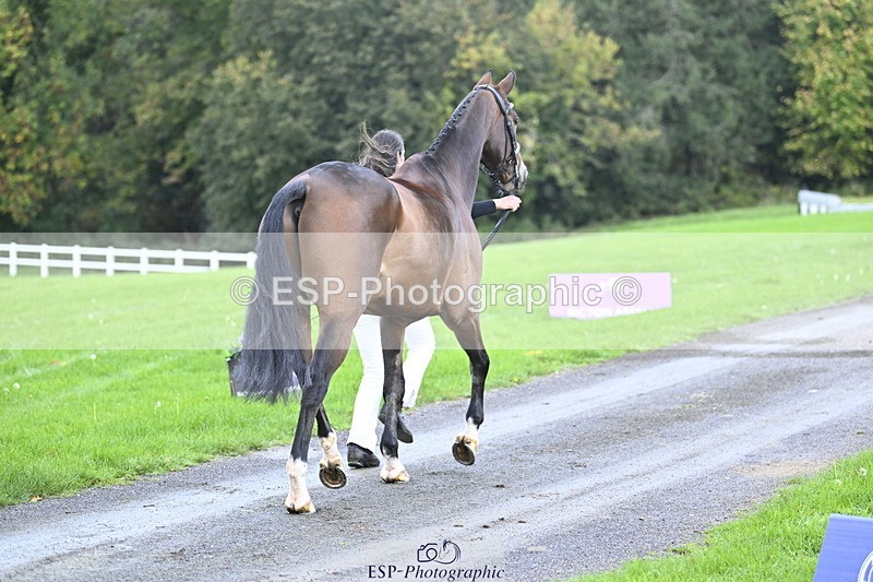 251025A-090233-17671 - A-015-Jess.Rimmer