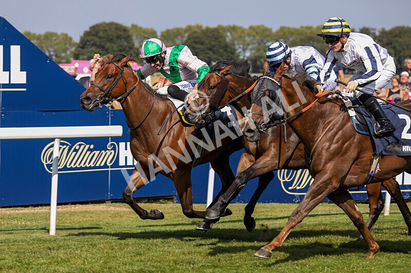 310824-Race 2-Democracy Dilemma-1135 - Race 2