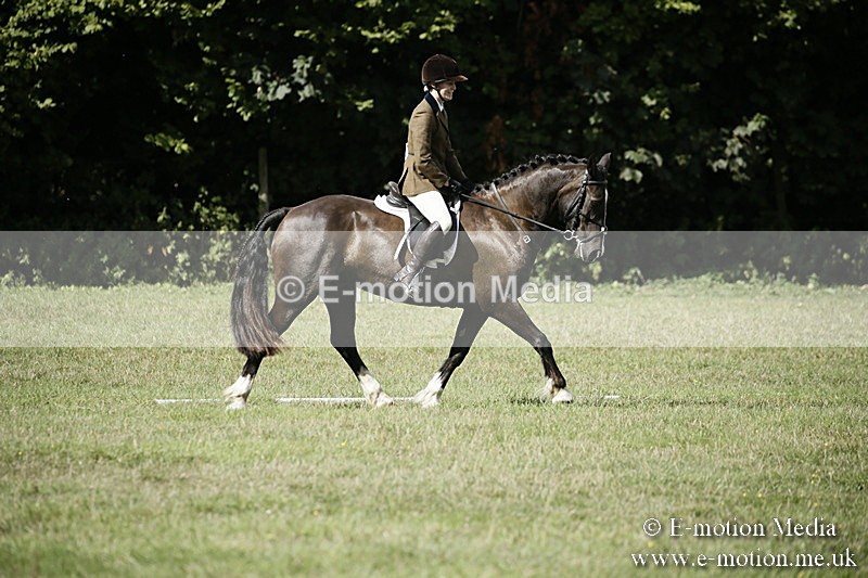 BVR090918 280 - BVRC Dressage and Show Jumping 09/09/18
