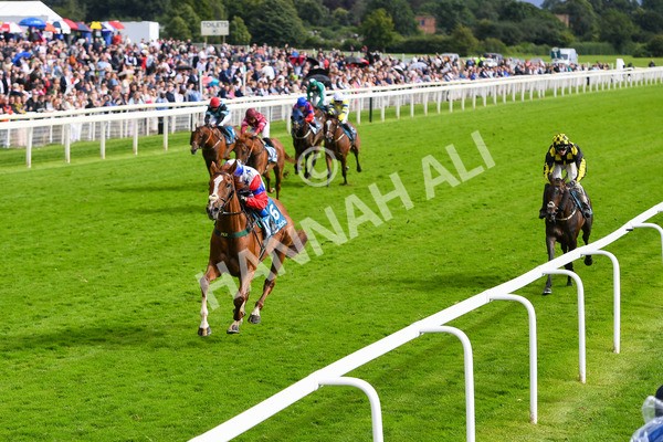 150723-Race 6-Robert Johnson-0638 - Race 6 4.55pm John Smith's Stayers' Handicap