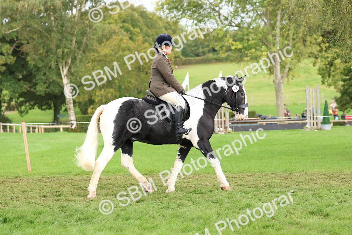 SBM_44944 - S27 - Young Veteran Ridden