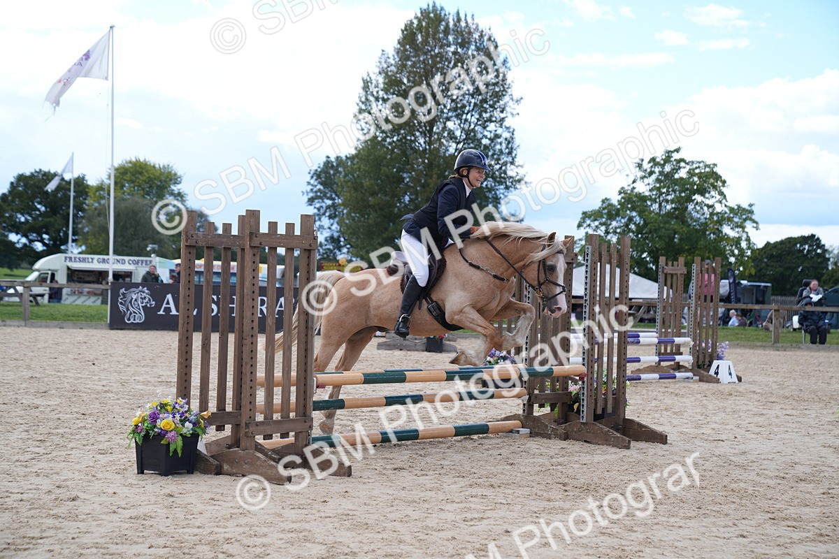 SBM_08499 - J56 Clear Round 70cm