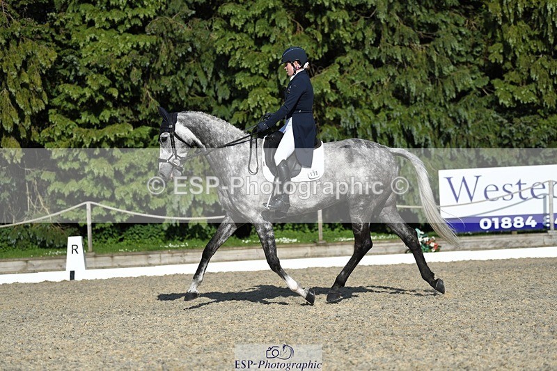 230525-174216-03588 - 130-CFH_DAKAR_HILL-Millie_Juleff-WEDTrotUp+DR