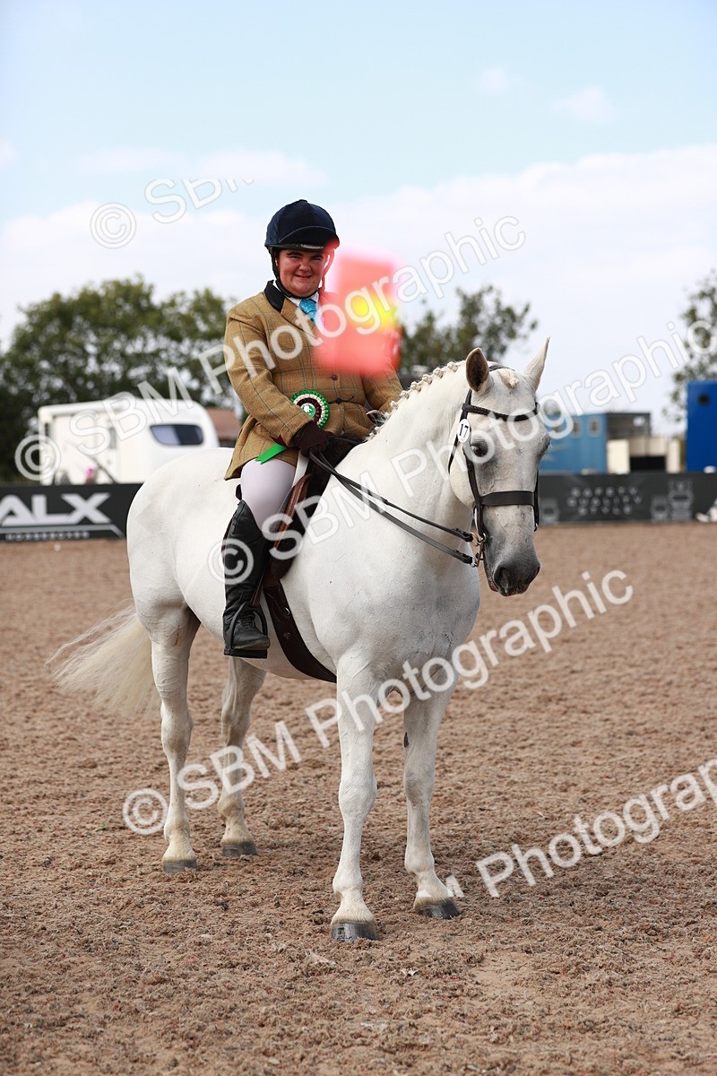 SBM_14925 - Class 212 Ridden Hunter - Small