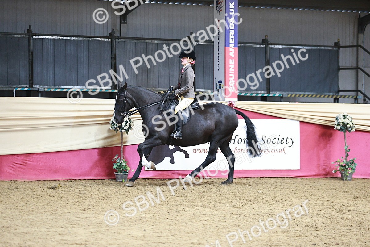 SBM_08671 - Regional Ridden Champ