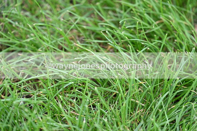 WJ7_4926 - Time 12:12 to 12:30