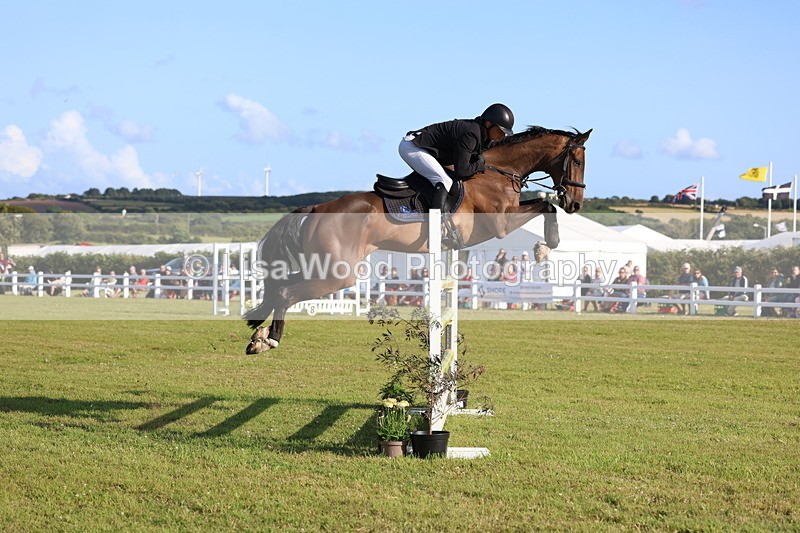 3E7A4507 - Class C: Showjumping Senior Foxhunter