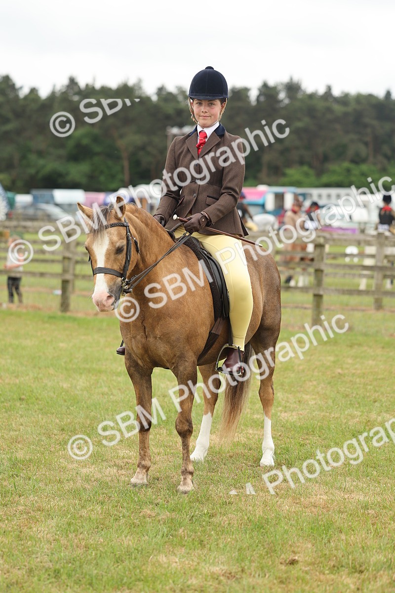 SBM_07129 - Class 76-77 - Ridden M&M Welsh Ponies