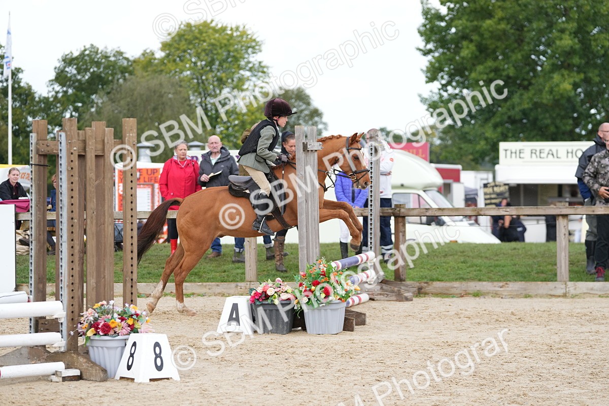 SBM_39860 - J6 - Junior Pony 55cm Championship