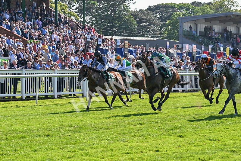 180524-Race 5-Tinto-9698 - Race 5