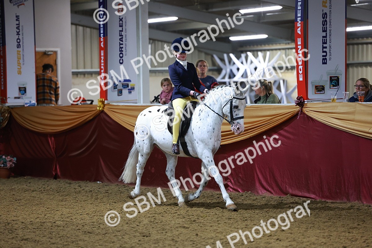 SBM_15702 - Class T - Working Veteran Champ