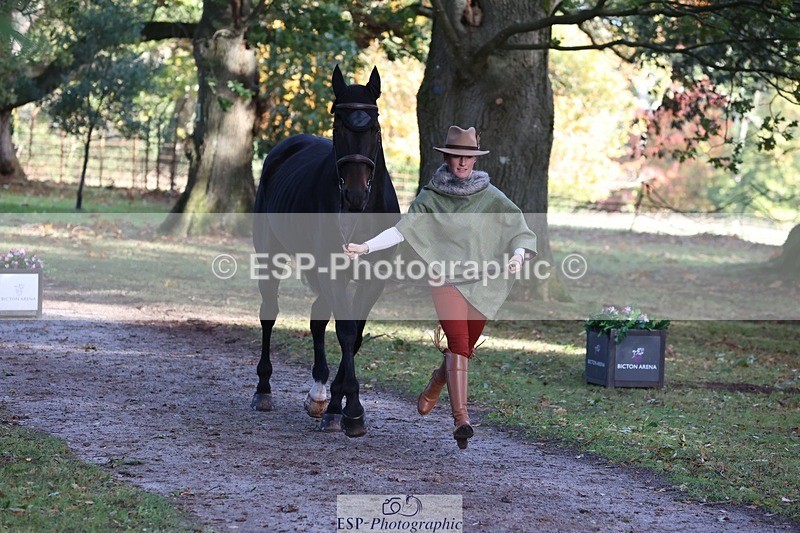 261025A-102111-25232 - 3DE Unknown riders - Trot Up