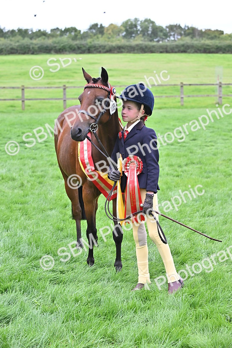 SBM_65016 - In Hand Pony & Younstock Supreme Championship