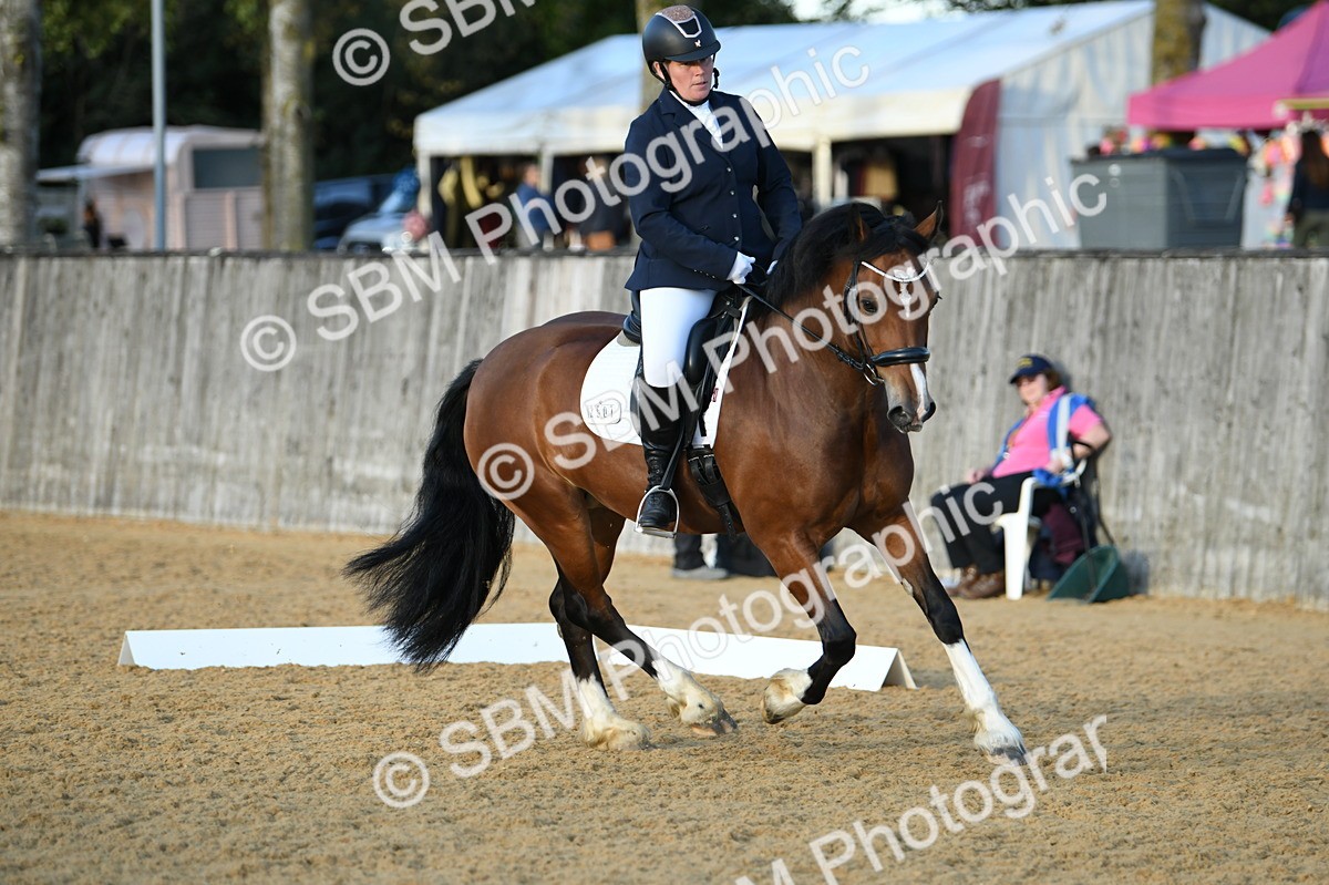 SBM_30935 - D16 - Small Tour Championship - Novice 28