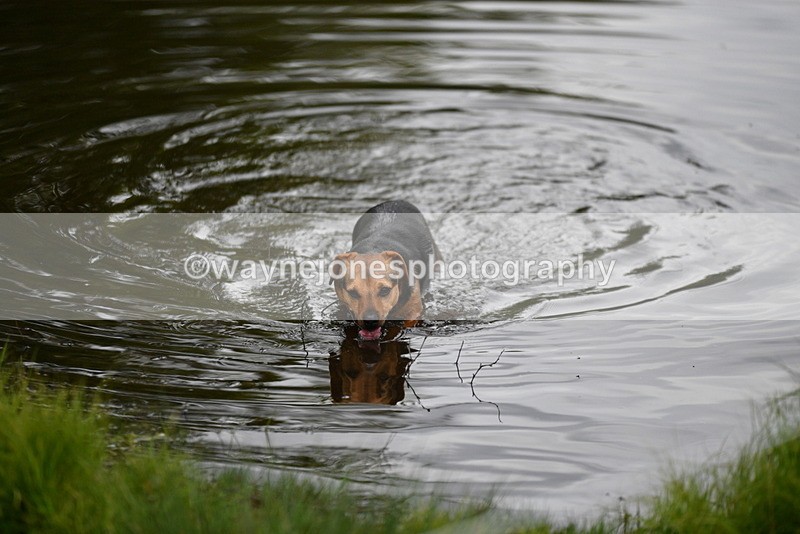 WJ5_5179 - Time 12:04 to 13:05