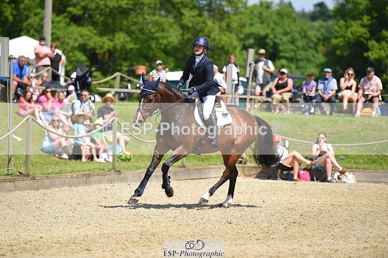 230528-112652-15213 - 379-QUIZICAL_Z-Alice_Hallows-SUNTrotUp+SJ