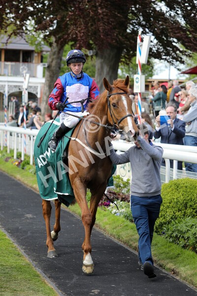 yr12052022r3-33 - Race 3 3.00pm The Paddy Power Hambleton Stakes
