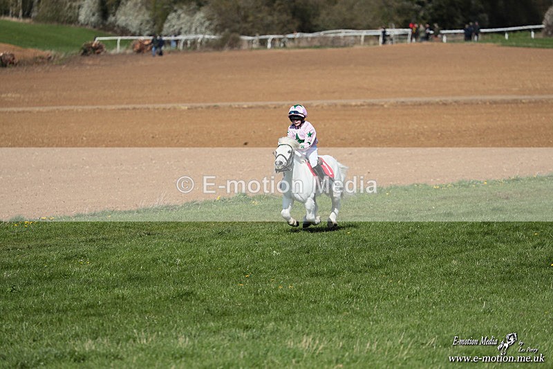 Shet 060426 134 - Shetland Pony Racing Paxford Races Easter Mon 06/04/26