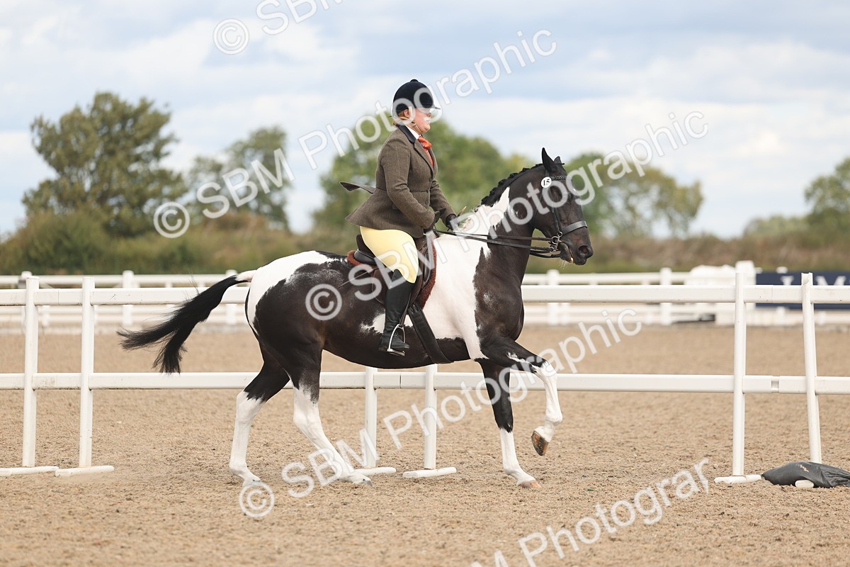 SBM_14755 - Class 308 - Ridden Coloured Horse