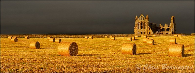 Whitby Abbey - Landscapes - Colour