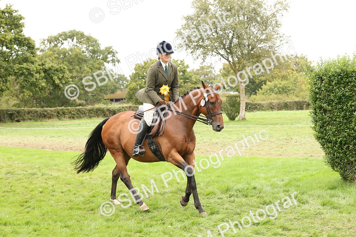 SBM_64355 - S65 - Riding Horse & Hack & Thoroughbred Ridden