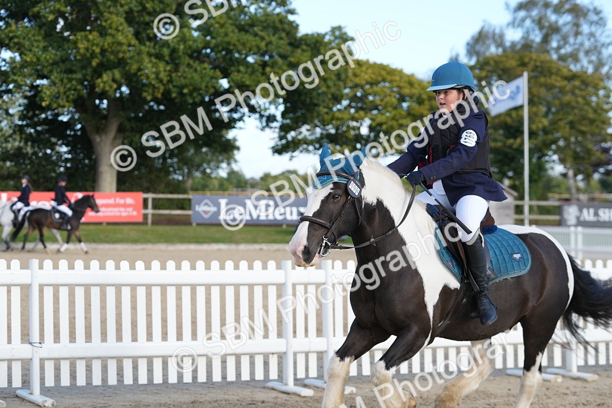SBM_51056 - J8 - Junior Pony 65cm Championship