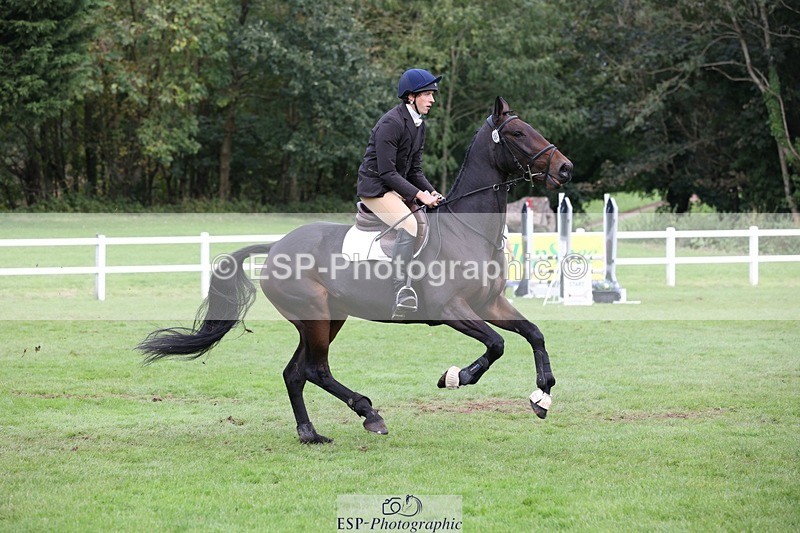 231022-140150-28023 - 462-SILVER.BAY-Marshall.David.Johnson-TrotUp+SJ