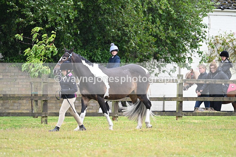 WJ7_5858 - Class 4 Prettiest Mare in Hand