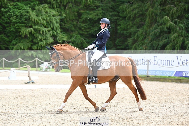 230813-133602-07602 - Cls 13 Medium Bronze 13.15 to End