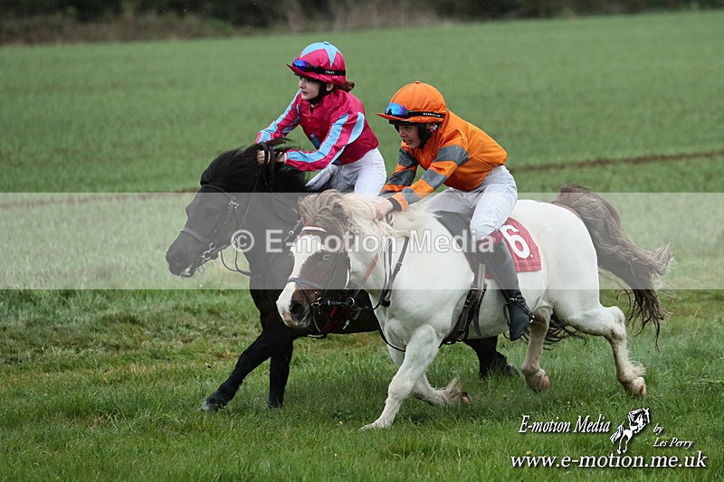 SHETPR 210425 89 - Shetland Ponies Paxford Races 21/04/25