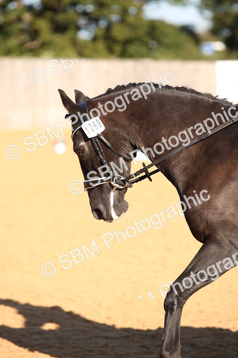SBM_01845 - D2 Small Tour Championship Intro C
