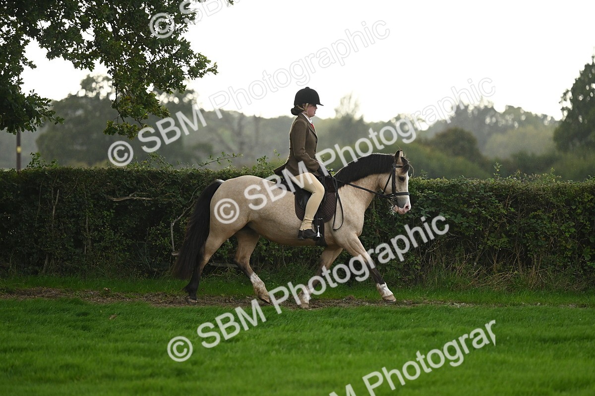SBM_26576 - S7 - Novice & Newcomer Ridden Pony