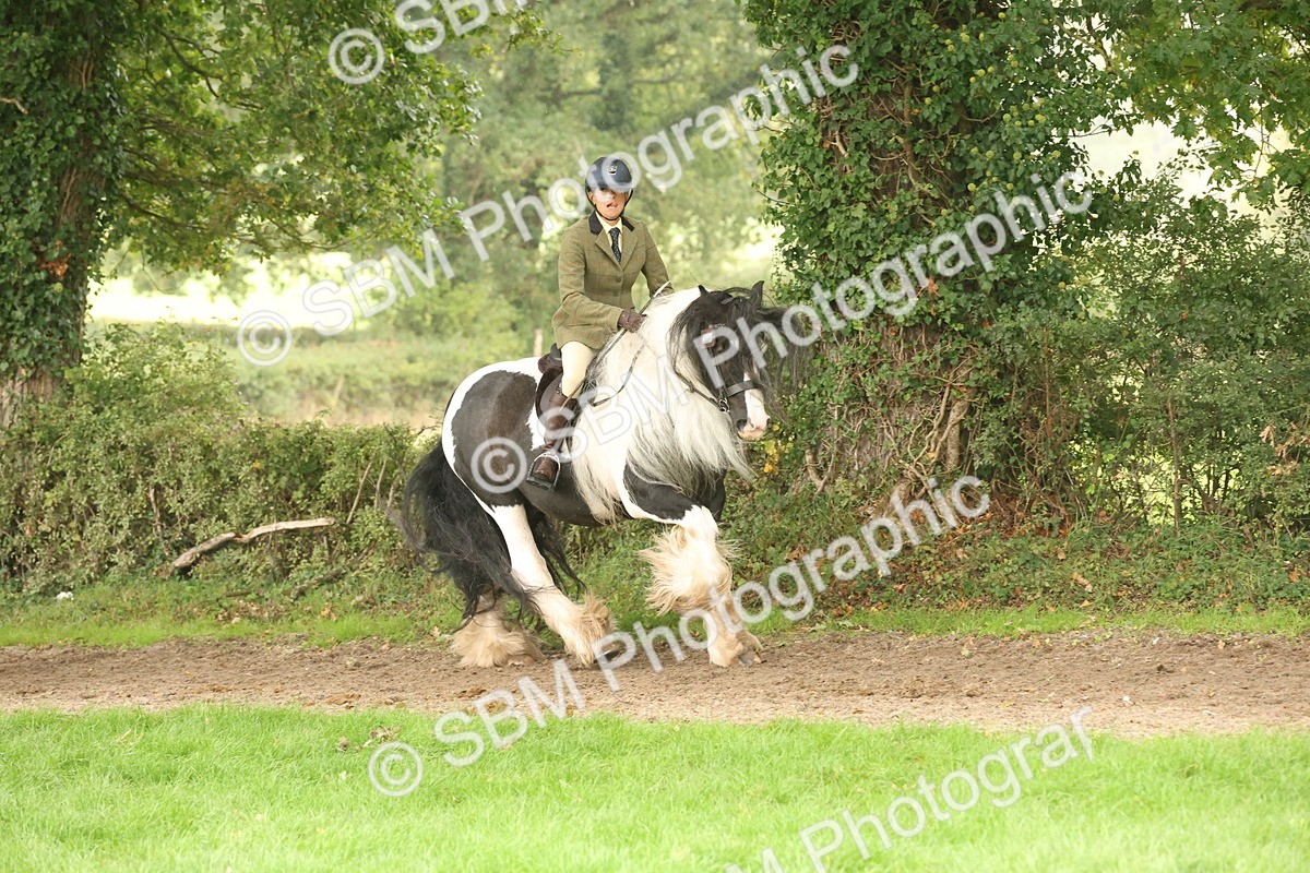 SBM_72716 - S70 - Traditional Cob Ridden