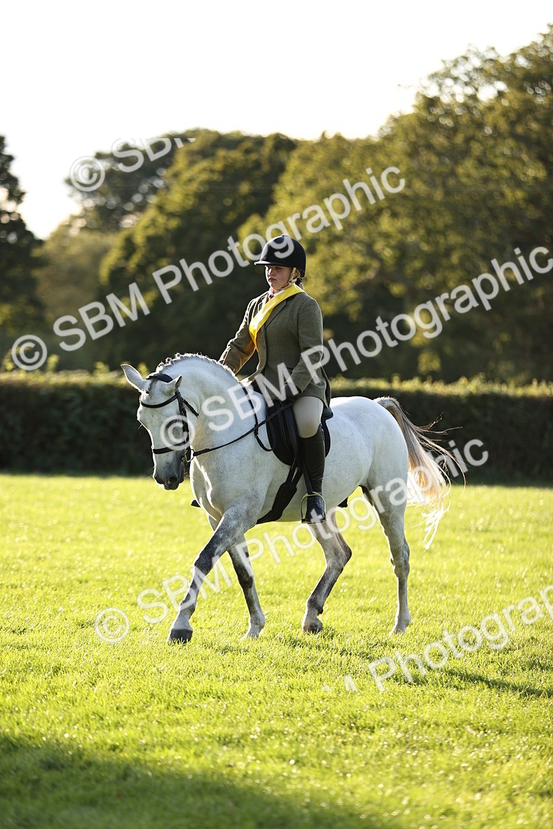 SBM_30112 - Novice & Newcomers Supreme Championship